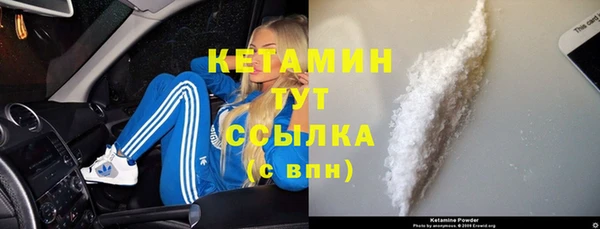 стафф Ельня