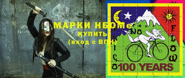 стафф Ельня