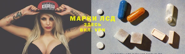 стафф Ельня
