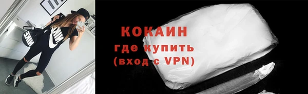 стафф Ельня