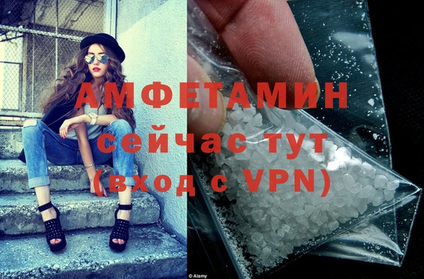 стафф Ельня