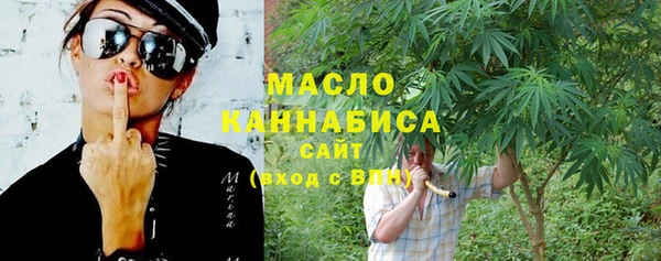 стафф Ельня