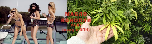 стафф Ельня