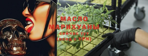 стафф Ельня