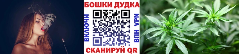 закладки  Камышлов  Конопля планчик 